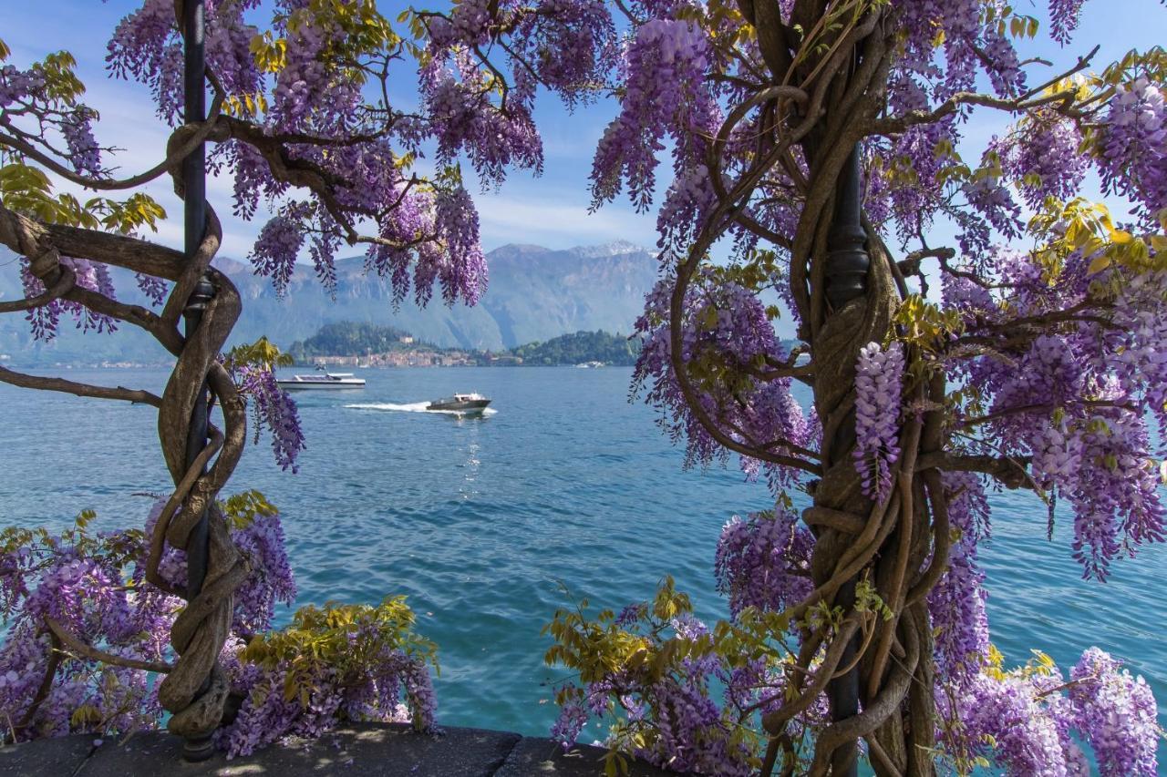 Pianello Del LarioBelmonte Terrazzoアパートメント エクステリア 写真